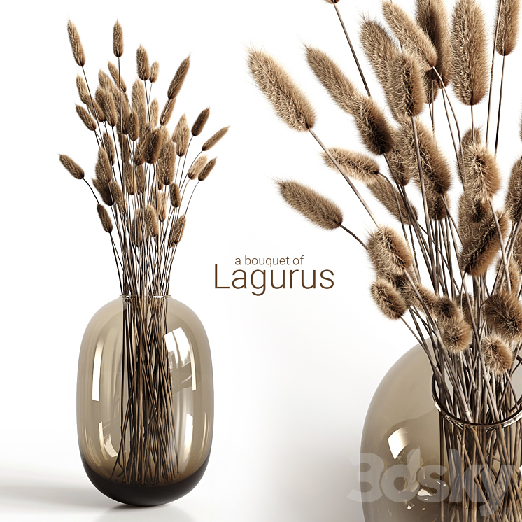 A bouquet of lagurus 3DS Max - thumbnail 1