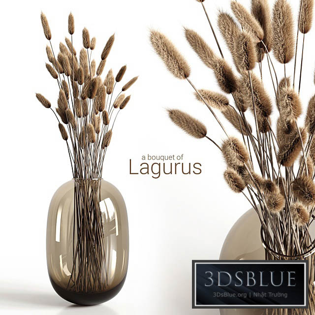 A bouquet of lagurus 3DS Max - thumbnail 3