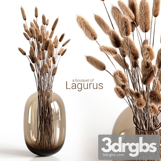 A bouquet of lagurus - thumbnail 1