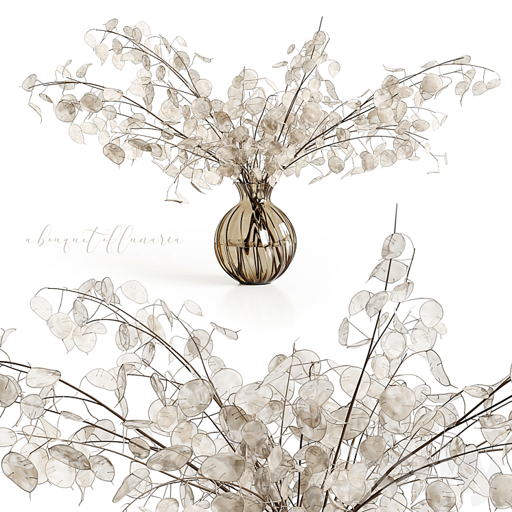 A bouquet of lunaria 3DS Max - thumbnail 1