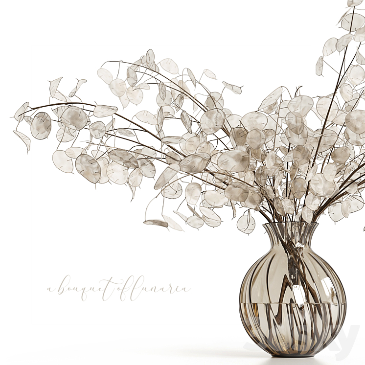 A bouquet of lunaria 3DS Max - thumbnail 2