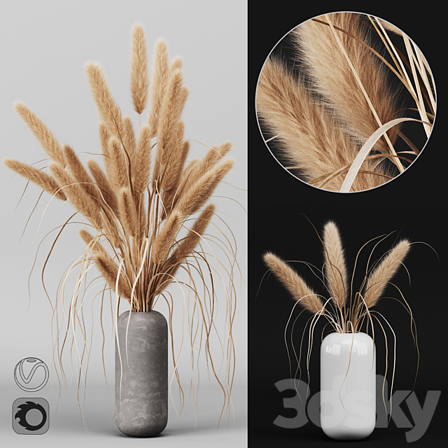 A bunch of Pampas 2 3DSMax File - thumbnail 1