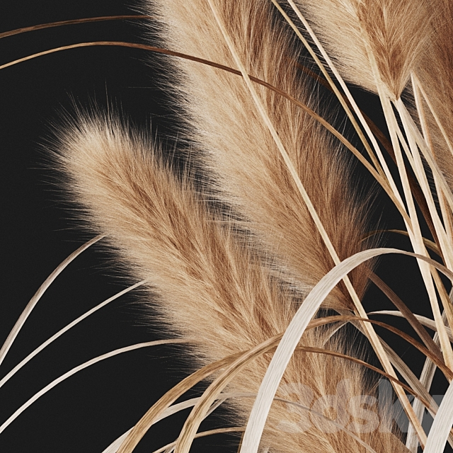 A bunch of Pampas 2 3DSMax File - thumbnail 2