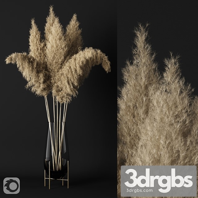 A Bunch Of Pampas 3dsmax Download - thumbnail 1