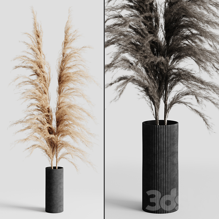 A bunch of Pampas 5 3DS Max - thumbnail 2