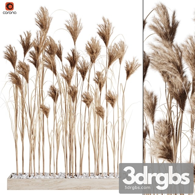 A Bunch Pampas 7 3dsmax Download - thumbnail 1