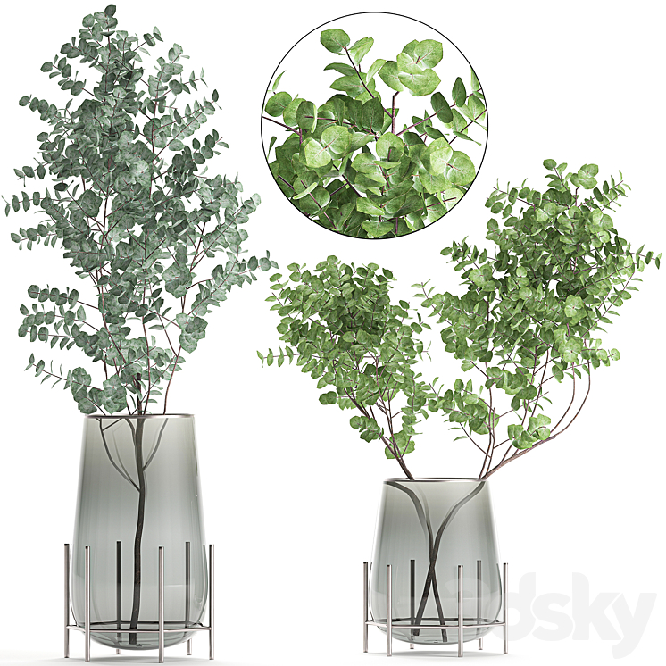 A collection of beautiful bouquets of branches with Eucalyptus leaves in a shelved vase. Set of 100. 3DS Max - thumbnail 1