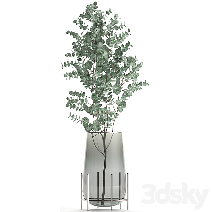 A collection of beautiful bouquets of branches with Eucalyptus leaves in a shelved vase. Set of 100. 3DS Max - thumbnail 2