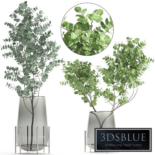 A collection of beautiful bouquets of branches with Eucalyptus leaves in a shelved vase. Set of 100. 3DS Max - thumbnail 3