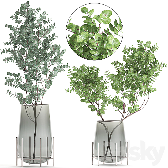 A collection of beautiful bouquets of branches with Eucalyptus leaves in a shelved vase. Set of 100. 3DSMax File - thumbnail 1