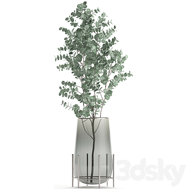 A collection of beautiful bouquets of branches with Eucalyptus leaves in a shelved vase. Set of 100. 3DSMax File - thumbnail 2