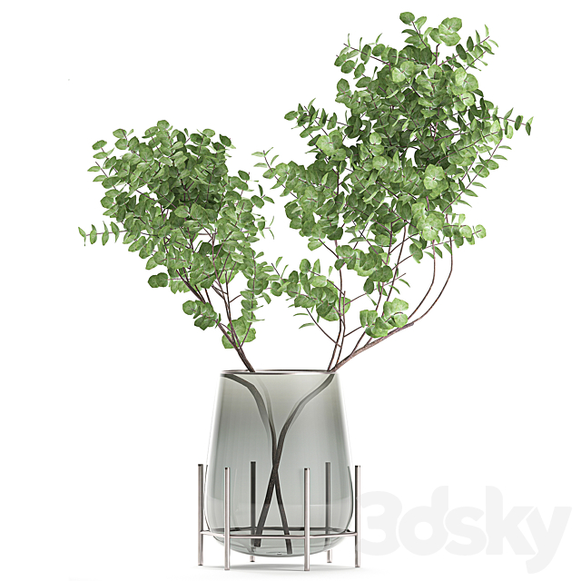 A collection of beautiful bouquets of branches with Eucalyptus leaves in a shelved vase. Set of 100. 3DSMax File - thumbnail 3