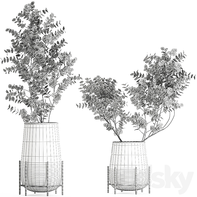 A collection of beautiful bouquets of branches with Eucalyptus leaves in a shelved vase. Set of 100. 3DSMax File - thumbnail 4