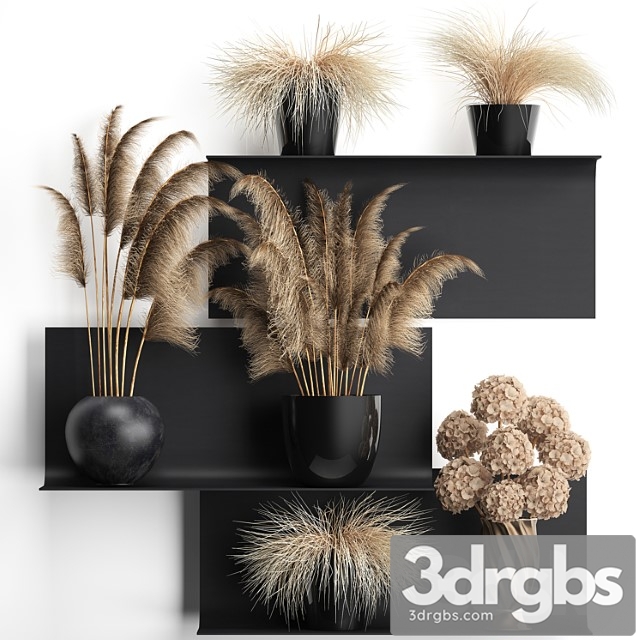 A collection of bouquets of dried flowers in vases on a black metal shelf with pampas, dry hydrangea, cortaderia. set 90. - thumbnail 1