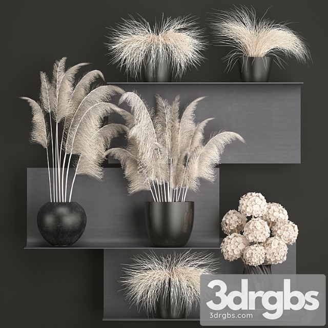 A collection of white bouquets of dried flowers in black vases on a metal shelf with branches of pampas, pampas grass, hydrangea. set 91. - thumbnail 1