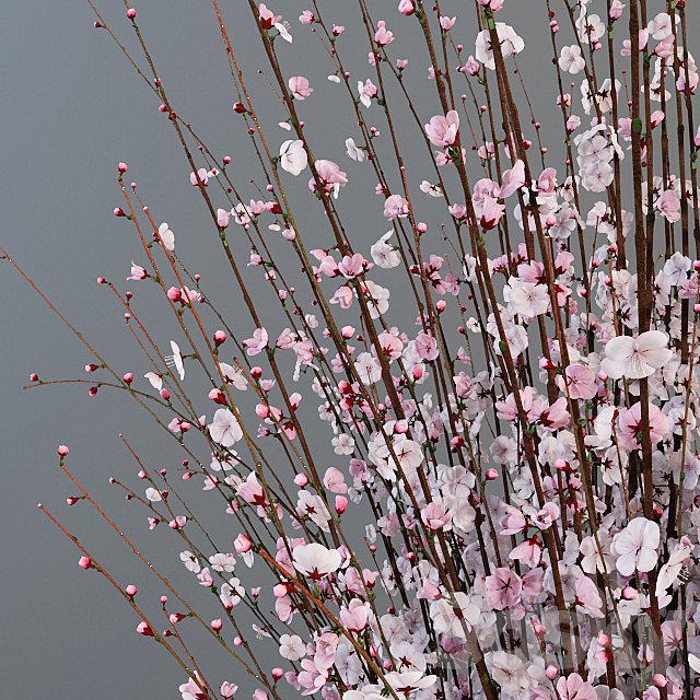 A large bouquet of cherry in the Chinese vase. 3ds Max - thumbnail 2