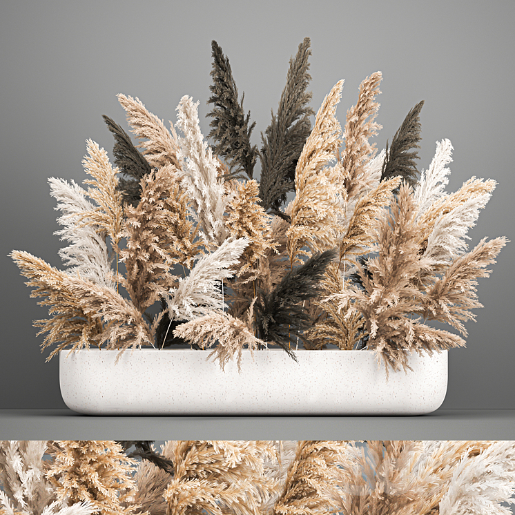 A large lush bouquet of dried flowers in a vase with pampas branches Cortaderia. 186. 3DS Max - thumbnail 1