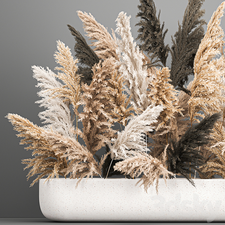 A large lush bouquet of dried flowers in a vase with pampas branches Cortaderia. 186. 3DS Max - thumbnail 2