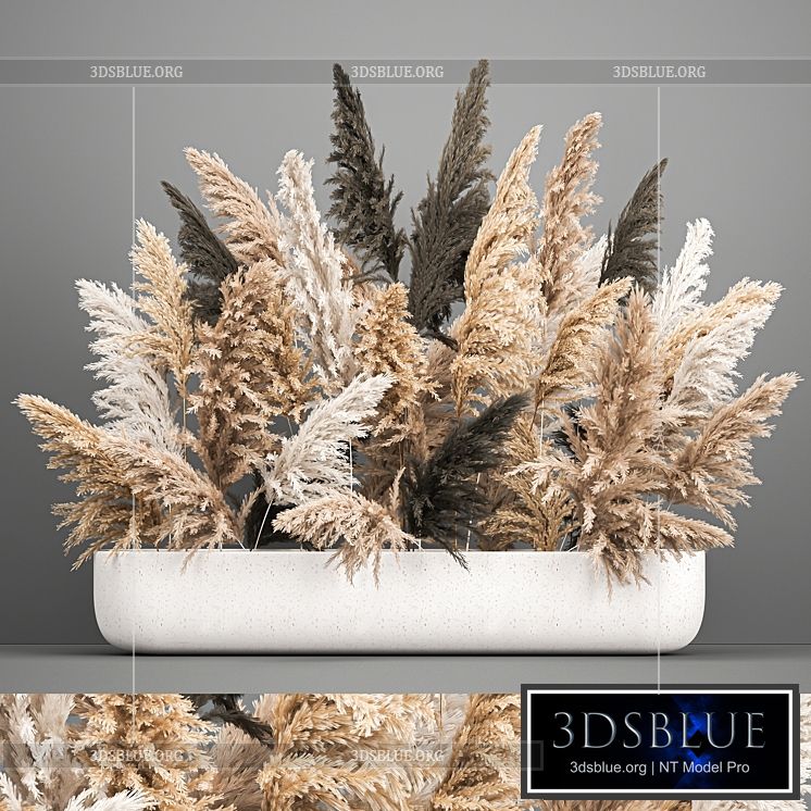 A large lush bouquet of dried flowers in a vase with pampas branches Cortaderia. 186. 3DS Max - thumbnail 3