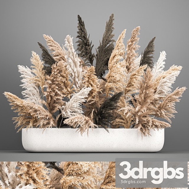 A large lush bouquet of dried flowers in a vase with pampas branches, cortaderia. 186. - thumbnail 1