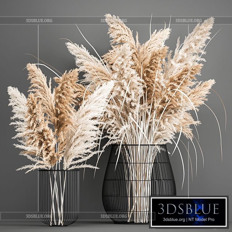 A lush bouquet of dried flowers in a basket with pampas Pampas grass Cortaderia a branch. 192. 3DS Max - thumbnail 3