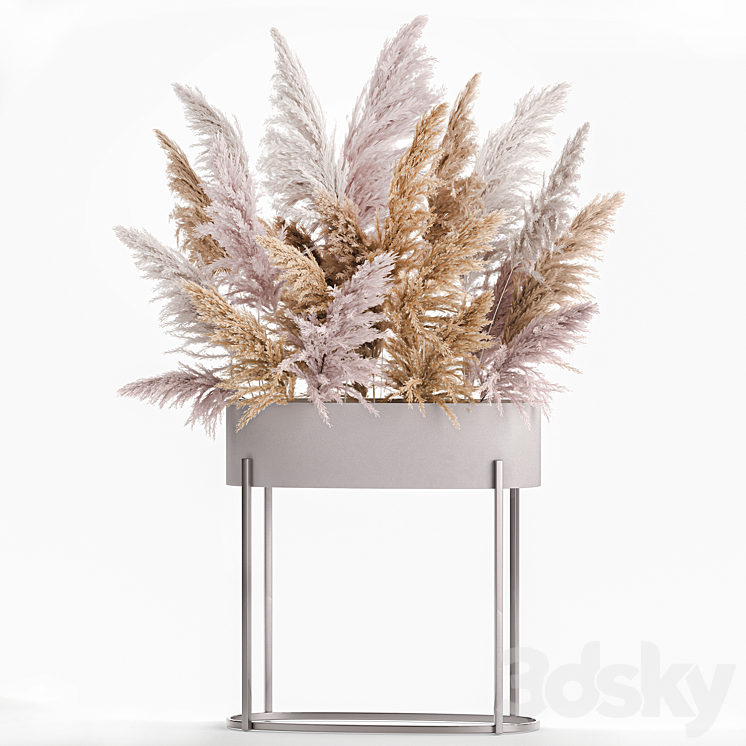 A lush bouquet of dried flowers with pink pampas grass a vase of Cortaderia branches. 190. 3DS Max - thumbnail 1