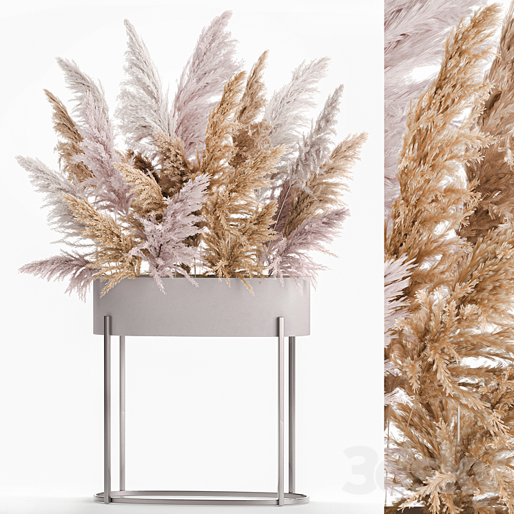 A lush bouquet of dried flowers with pink pampas grass a vase of Cortaderia branches. 190. 3DS Max - thumbnail 2