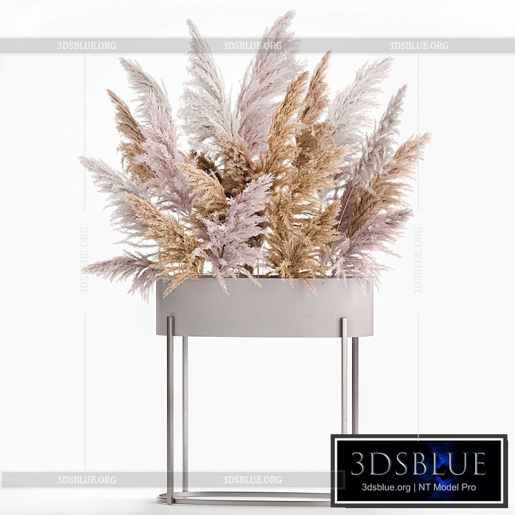 A lush bouquet of dried flowers with pink pampas grass a vase of Cortaderia branches. 190. 3DS Max - thumbnail 3