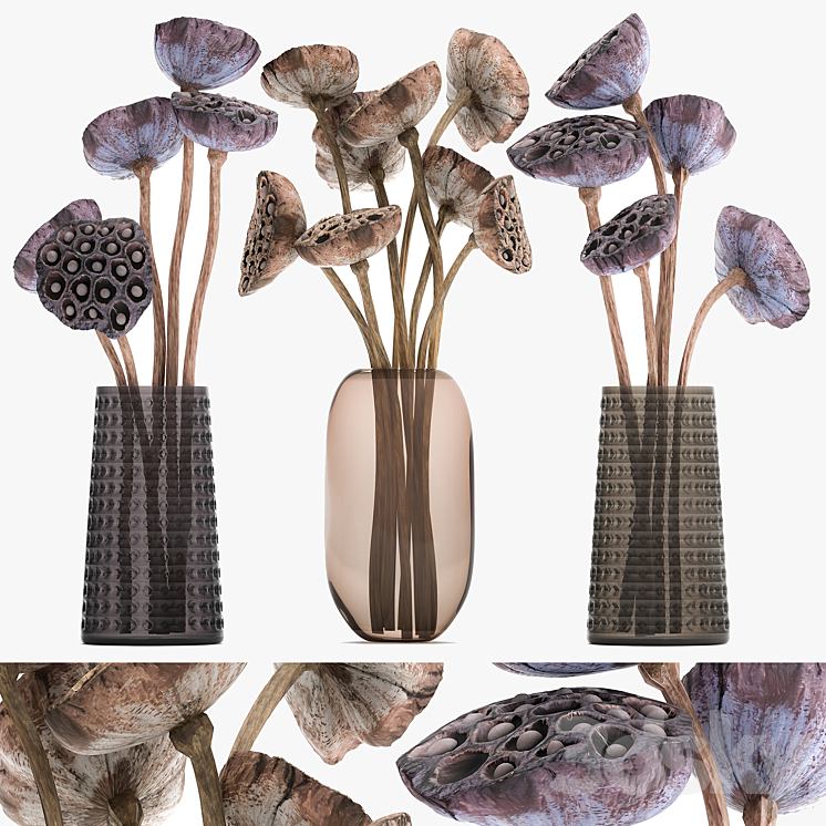 A set of bouquets of dried flowers in glass vases dry Lotus branches natural decor. 152. 3DS Max - thumbnail 1