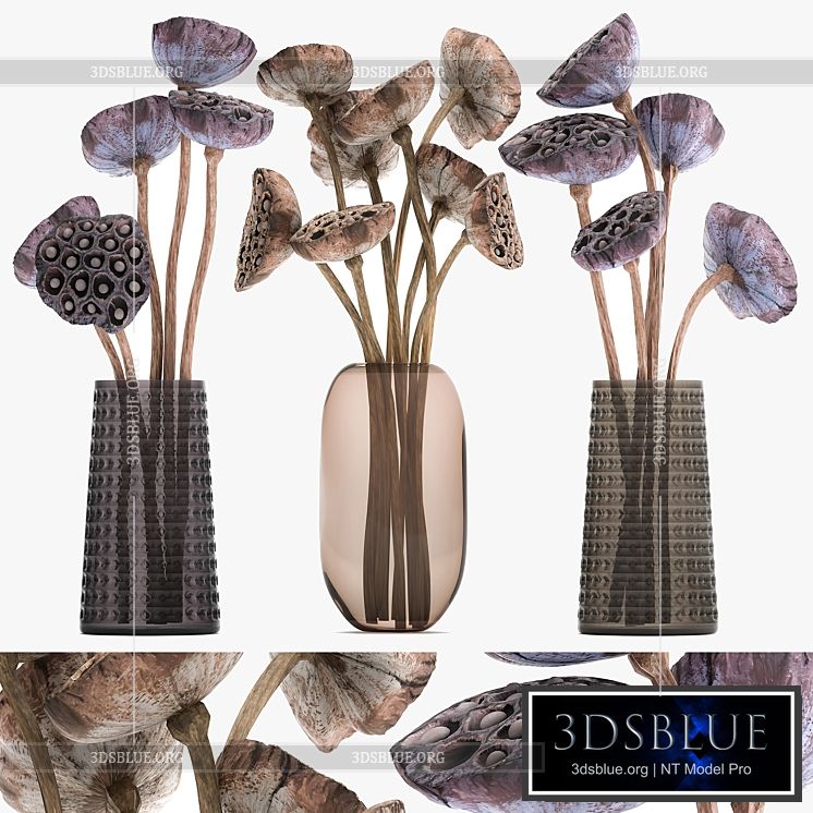 A set of bouquets of dried flowers in glass vases dry Lotus branches natural decor. 152. 3DS Max - thumbnail 3