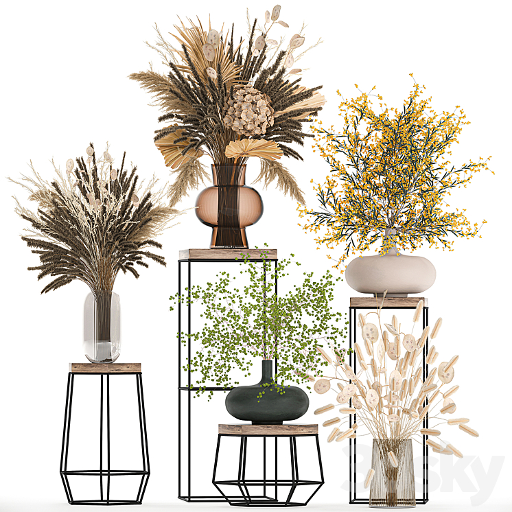 A set of bouquets of dried flowers in vases for decoration on shelves branches pampas grass. 216. 3DS Max - thumbnail 1