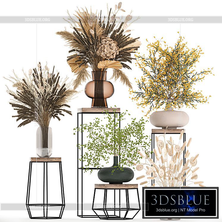 A set of bouquets of dried flowers in vases for decoration on shelves branches pampas grass. 216. 3DS Max - thumbnail 3