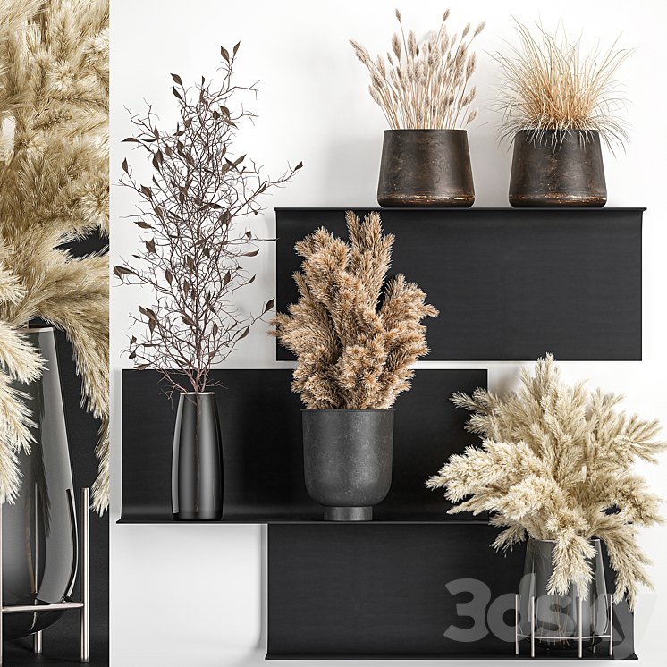 A set of bouquets of dried flowers in vases on a black metal shelf made of Pampas branches reeds. 119 3DS Max - thumbnail 1