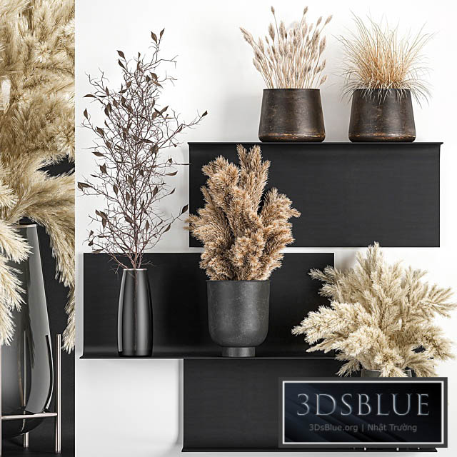 A set of bouquets of dried flowers in vases on a black metal shelf made of Pampas branches reeds. 119 3DS Max - thumbnail 3