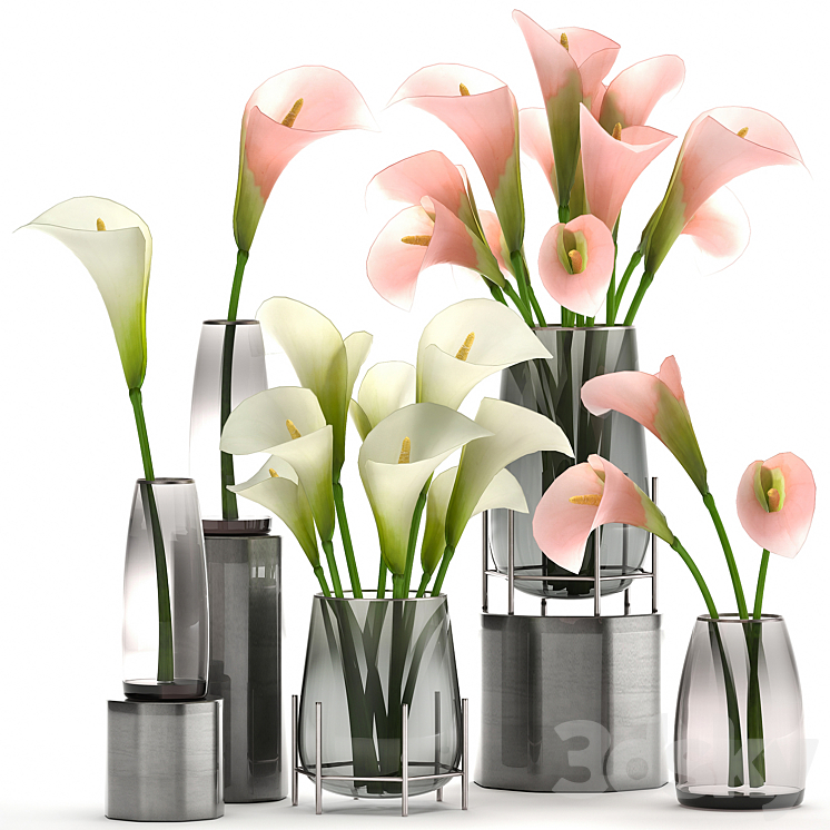 A set of bouquets of white and pink flowers in a glass vase of Calla sadovaya. 114. 3DS Max - thumbnail 1