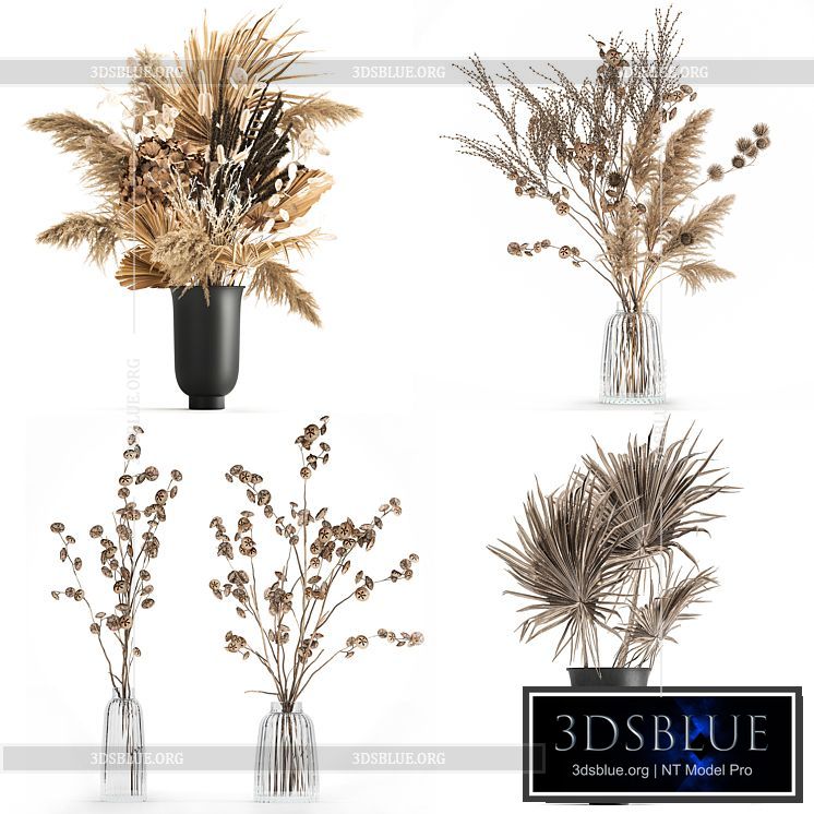 A set of flower bouquets in vases of dried flowers palm branch pampas grass reed grass hydrangea thorns. 283 3DS Max - thumbnail 3