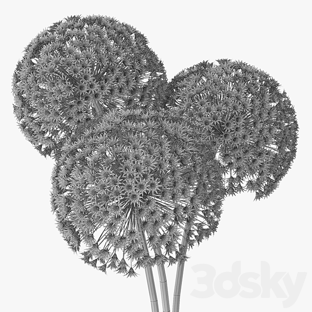 Allium flowers in vase 3DS Max Model - thumbnail 3