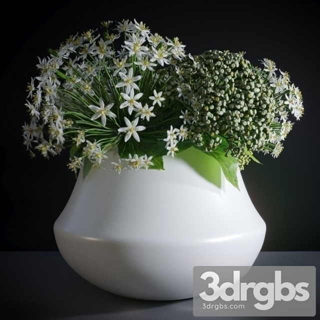 Allium Neapolitanum Bouquet 3dsmax Download - thumbnail 1