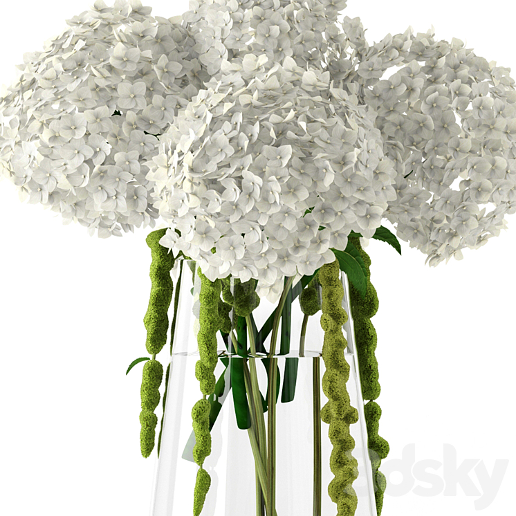 Amaranthus and Hyndrangea 3DS Max - thumbnail 2