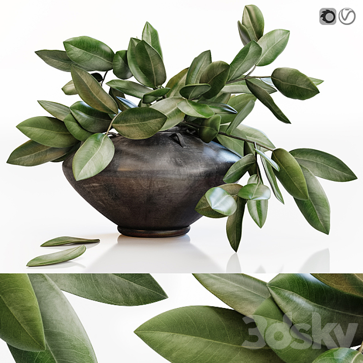 Amazing plant in black vase 3DS Max - thumbnail 1