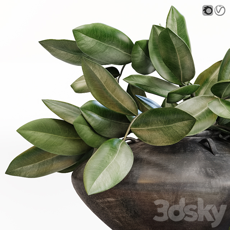 Amazing plant in black vase 3DS Max - thumbnail 2