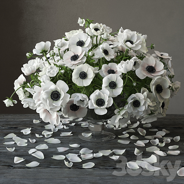 Anemones 3ds Max - thumbnail 1