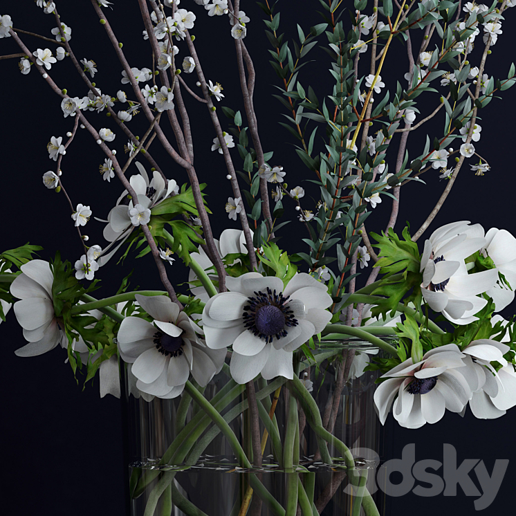 Anemones and branches 3DS Max - thumbnail 2