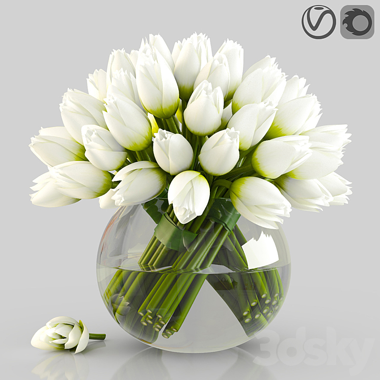 Angelique tulips 3DS Max - thumbnail 1