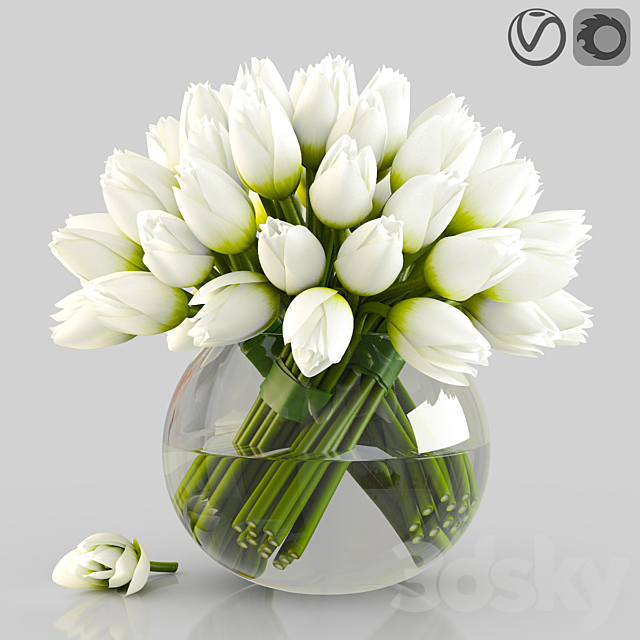 Angelique tulips 3DSMax File - thumbnail 1