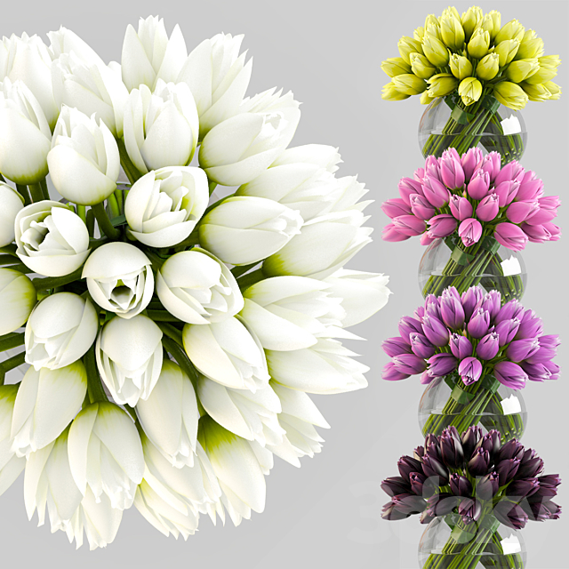 Angelique tulips 3DSMax File - thumbnail 2