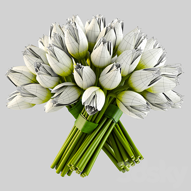 Angelique tulips 3DSMax File - thumbnail 3