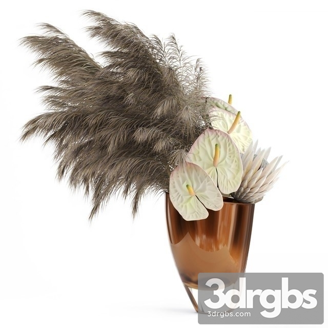 Anthuriums Protea Pampas Grass 3dsmax Download - thumbnail 1