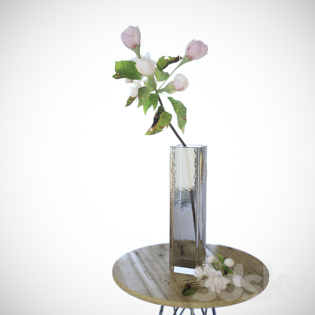 Apple tree branch 3DSMax File - thumbnail 1