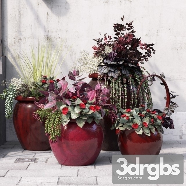 August Bouquet 3dsmax Download - thumbnail 1